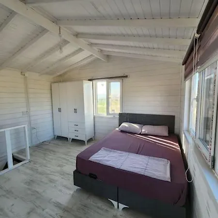 Peaceful Wood House